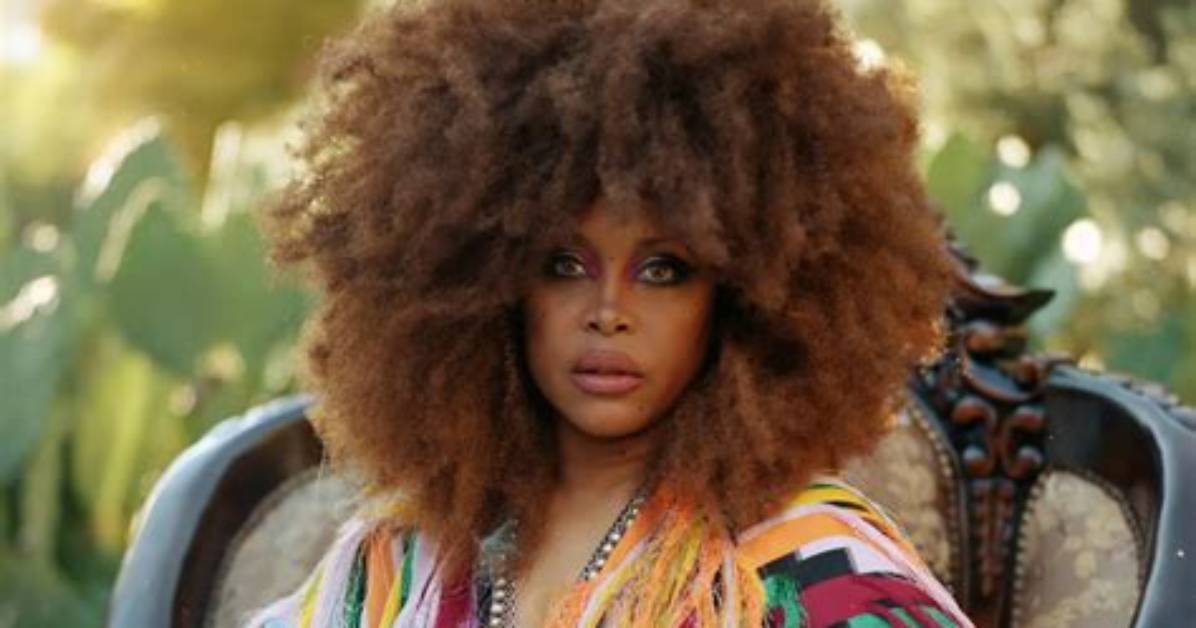 All About Erykah Badu's Family: Unveiling the Number of Her Children