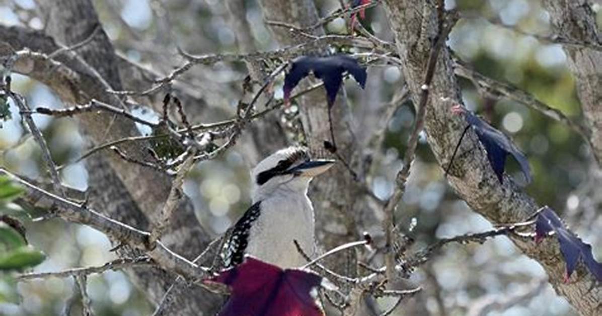 E7 %E7%B3%96 %E7%85%8E %E5%9D%8A %E5%8A%B9%E6%9E%9C