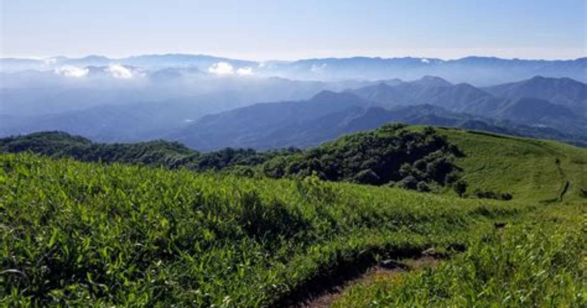 Image00 Image00 %E5%B1%B1%E4%B8%8B %E4%B9%85%E7%Be%8E%E5%Ad%90 %E4%Bb%8A%E4%Ba%95 %E7%Be%8E%E6%A8%B9